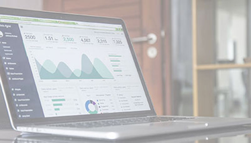 Risk Management Plan